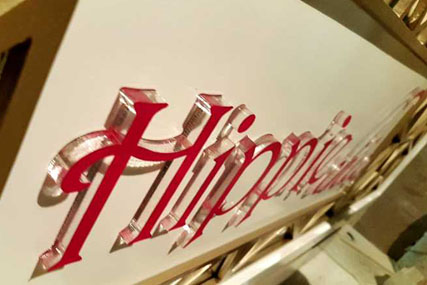 Hippichip